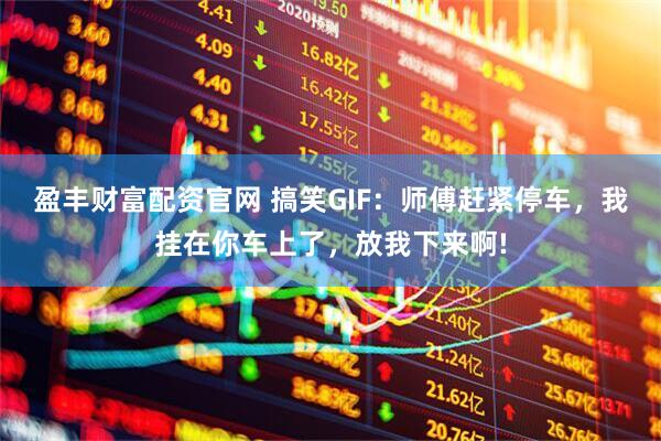 盈丰财富配资官网 搞笑GIF：师傅赶紧停车，我挂在你车上了，放我下来啊!