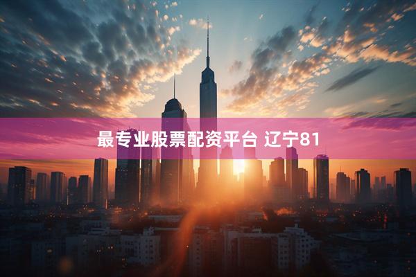 最专业股票配资平台 辽宁81